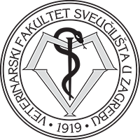 FVM