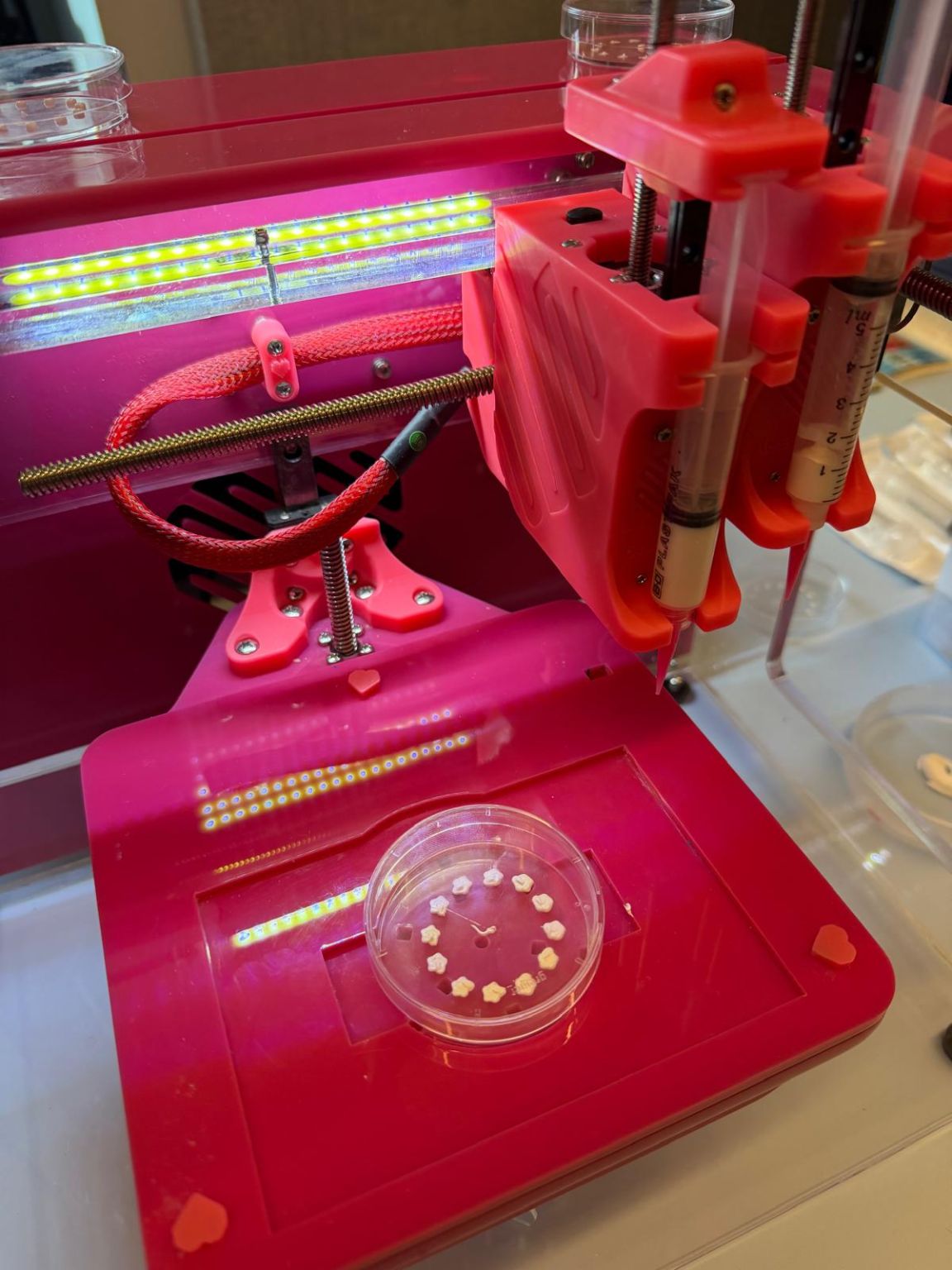 Bioprinter demonstration at Europe Day
