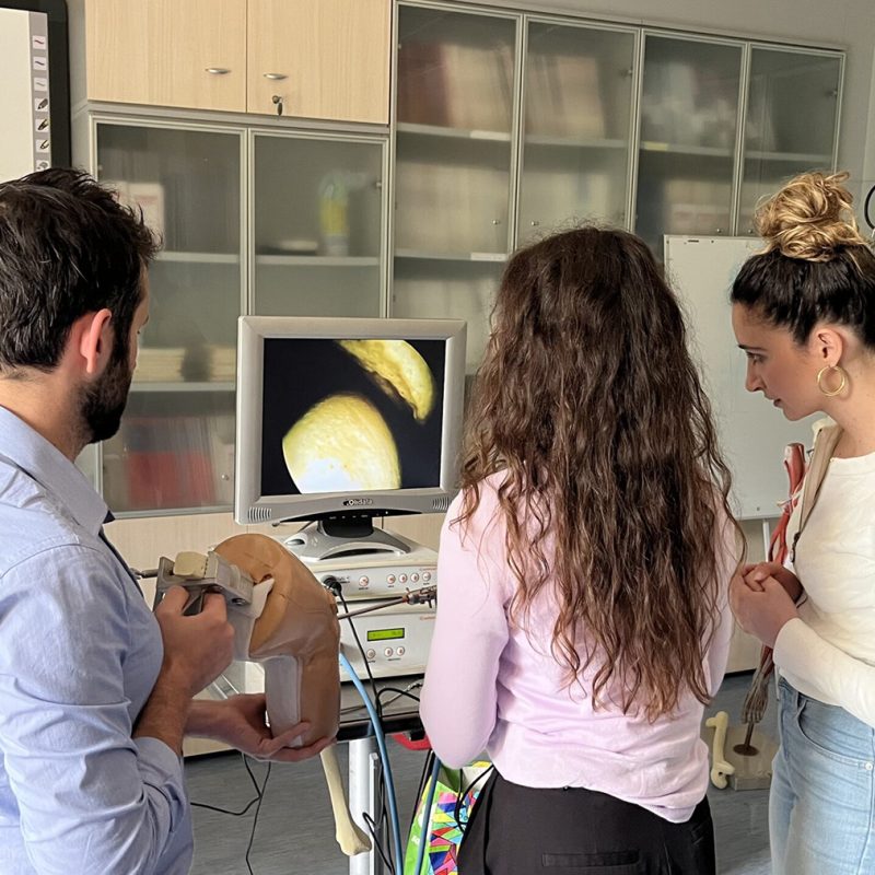 Post-Hospital-of-Pisa